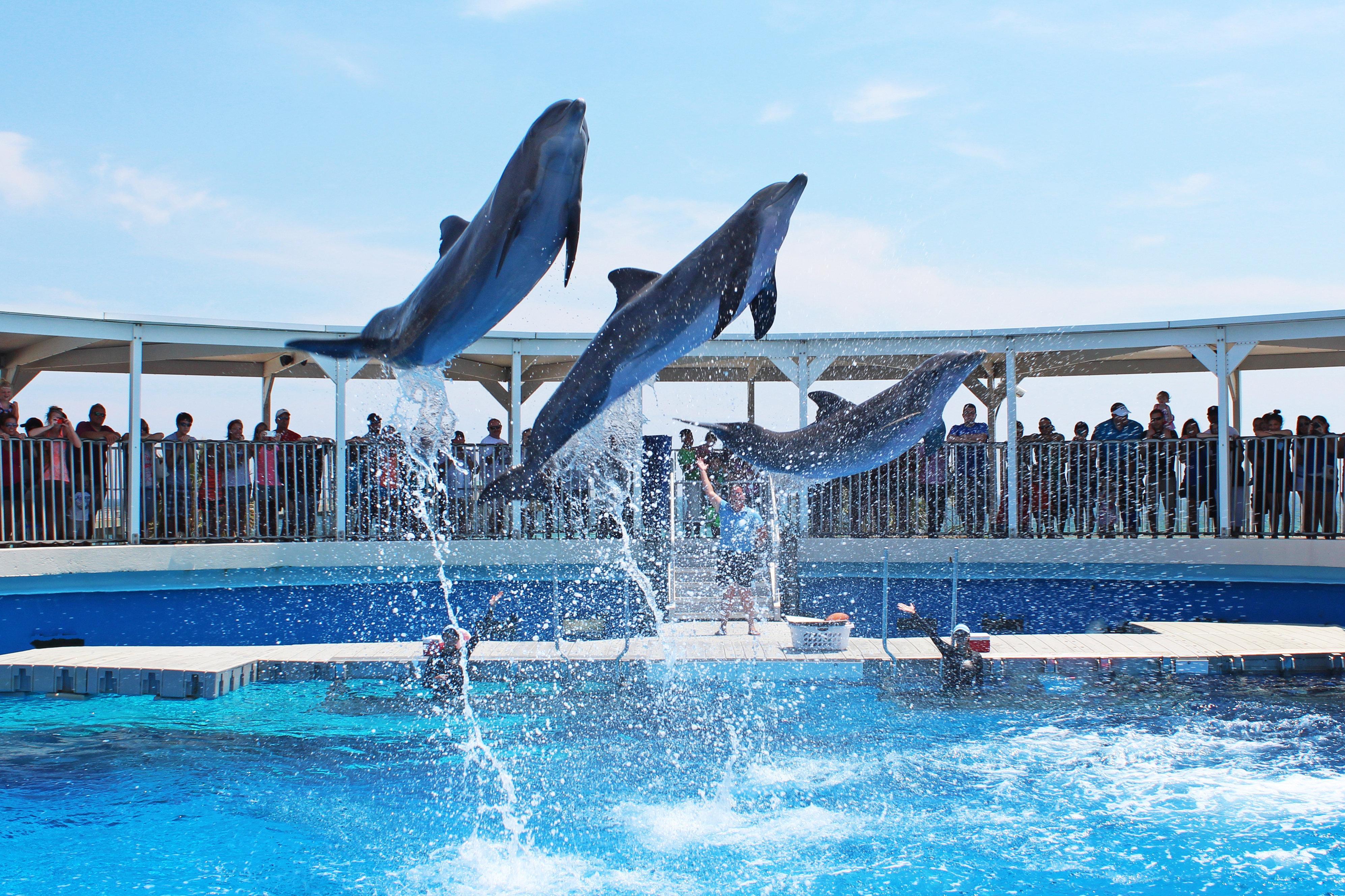 Holiday Inn Resort Fort Walton Beach By Ihg Exterior photo